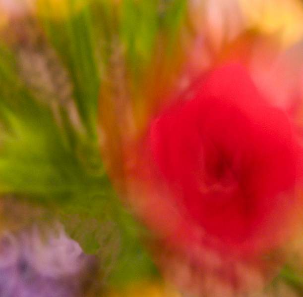 Flowers 3 181-Edit-Edit.jpg